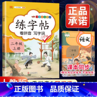2上》练字帖 【正版】2023新版二年级下册同步练字帖三四五六年级一年级下册同步字帖人教版上册语文汉字生字本笔顺笔2字年