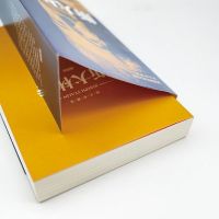 [正版] 斯大林传 讲述生平事迹 读懂斯大林吸取前车之鉴政治领袖人物传记通俗的普及性读本书籍bxy