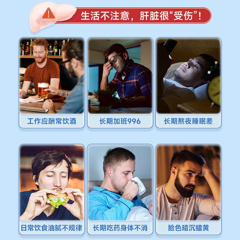 北京同仁堂 葛根桑椹枳椇子片蓝帽子保健对化学性肝损伤有保护功能