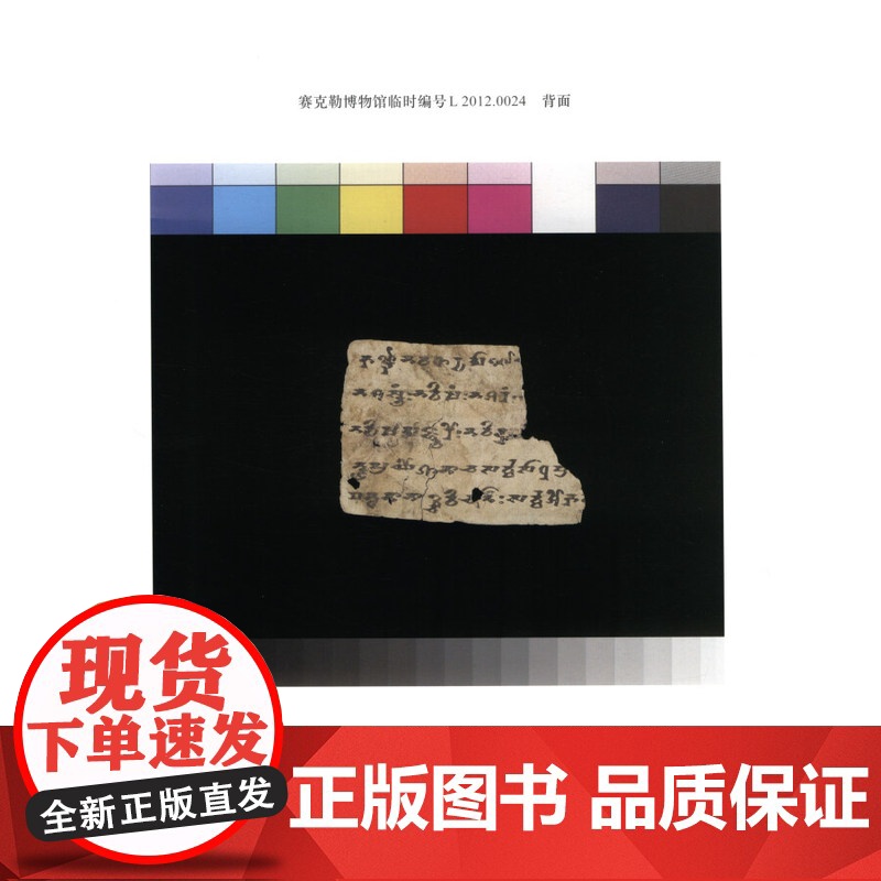 北京大学赛克勒考古与艺术博物馆藏梵文文书 非汉语类遗存新疆和田地区释读与研究萨尔吉佛教史梵文贝叶经写本中古译经 中西书局高清大图