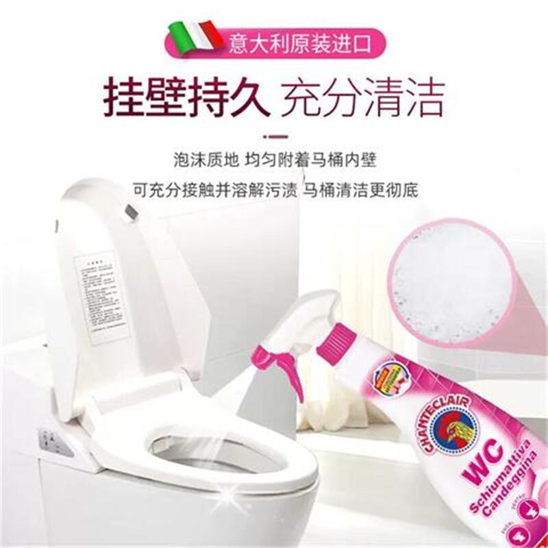 大公鸡管家马桶清洁剂(除垢)625ml*1高清大图