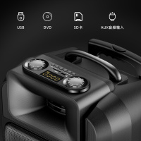 索爱(soaiy)户外拉杆音箱无线话筒k歌便携12吋唱歌蓝牙家用摆摊大功率音量广场舞音响T22[带2个无线话筒]