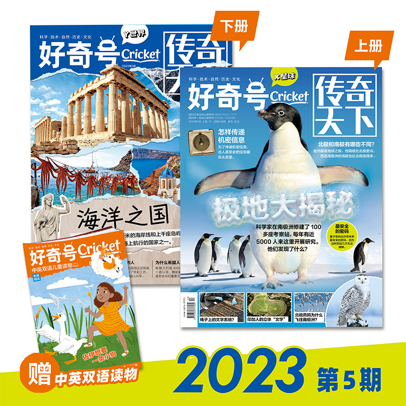2023年9期[非凡的兔子+火山威力有多大] [正版]单期 好奇号2023年9/8/7/6/5/4/3/2/1月 202
