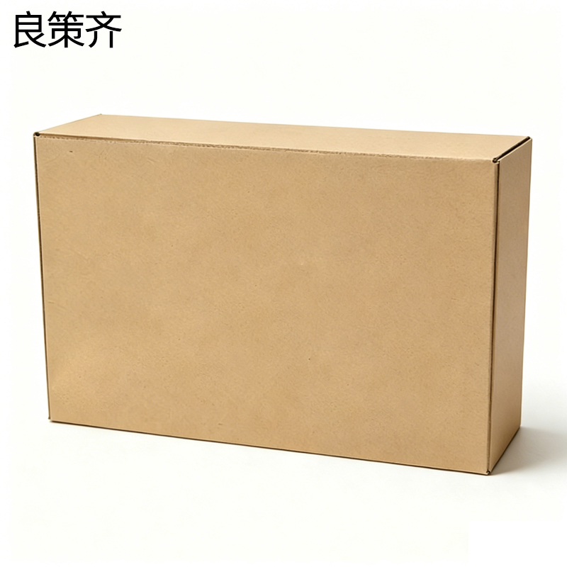 良策齐工资发放记录册(50张)297*210mm本高清大图