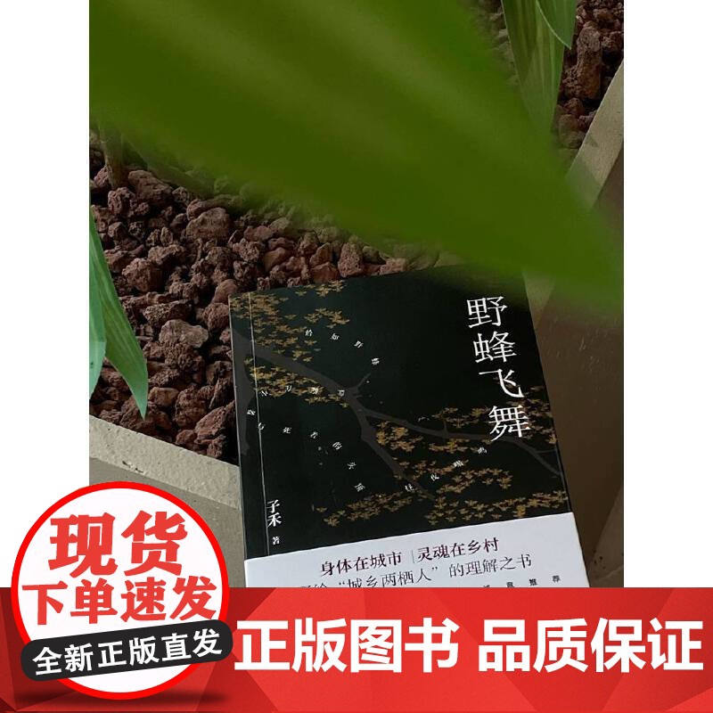野蜂飞舞(故乡回不去,城市留不下,还能去哪儿? 写给“城乡两栖人”的理解之书)高清大图