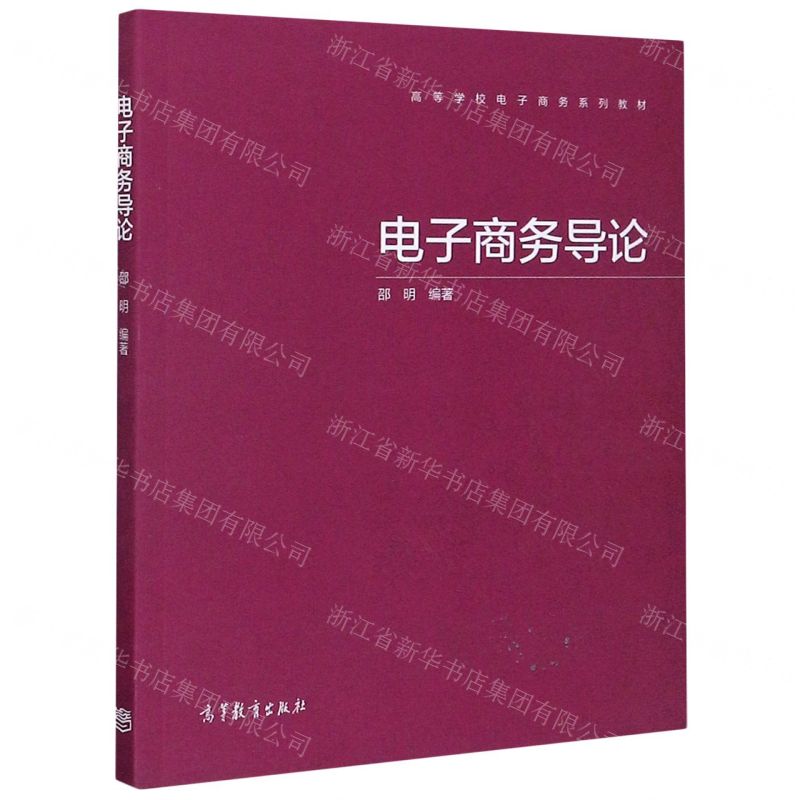 [N]电子商务导论(高等学校电子商务系列教材)-9787040530025高清大图