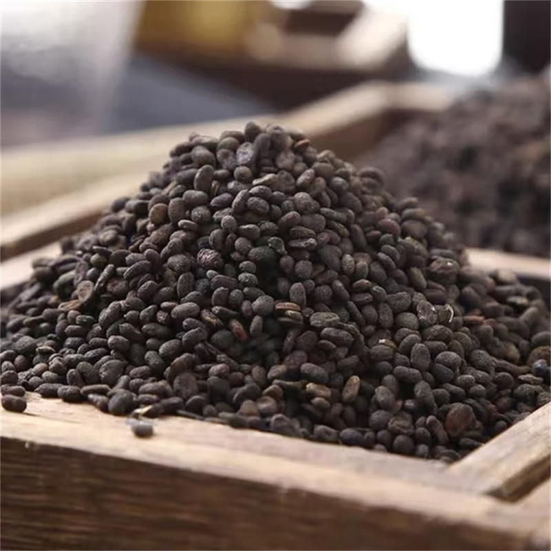 补骨脂100克干货正品新货破故纸补骨脂黑故子婆固脂9260高清大图