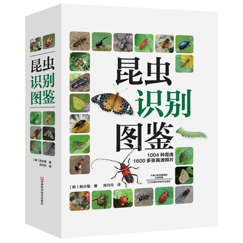 [醉染正版]正版 昆虫识别图鉴 1004种昆虫1600多张高清照片自然百科知识读物全书科普书韩永植动物昆虫图鉴识别辨认入高清大图