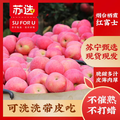 苏选【苏宁自主品牌】烟台栖霞红富士苹果 5斤装（75-80mm）