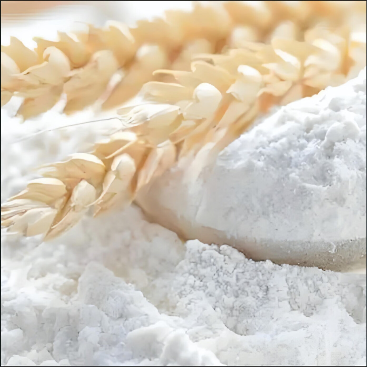 钿满堂小麦粉25kg/袋高清大图