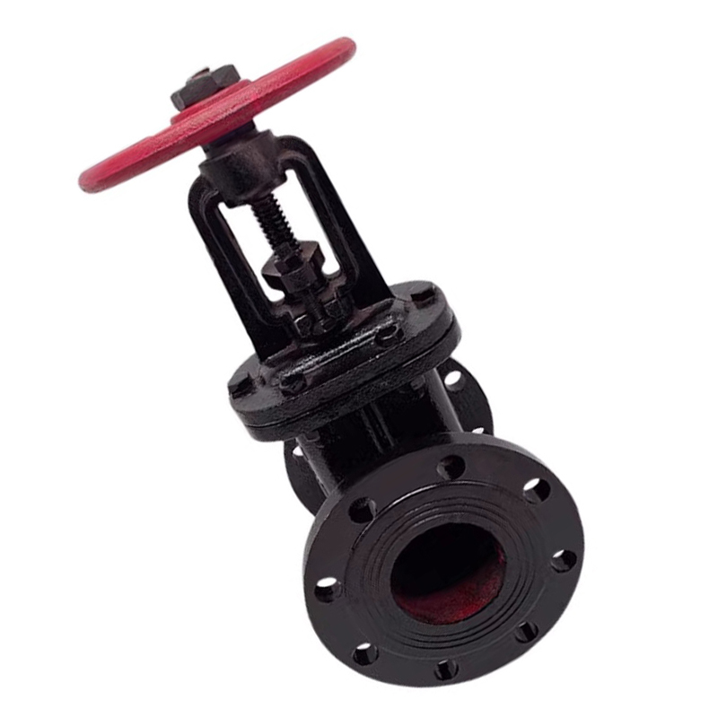 冰城同祥 铸铁闸阀 Z41T-16 DN50 台高清大图