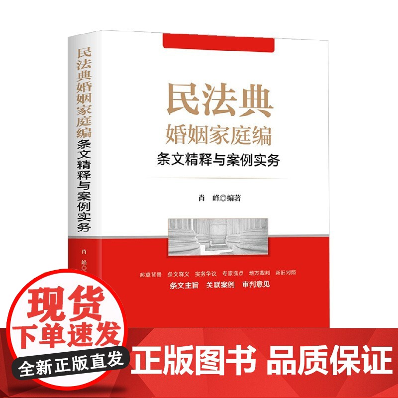 民法典婚姻家庭编条文精释与案例实务 肖峰 著 法律
