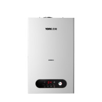 约克(YORK) LIPB20 电热水器 燃气壁挂炉