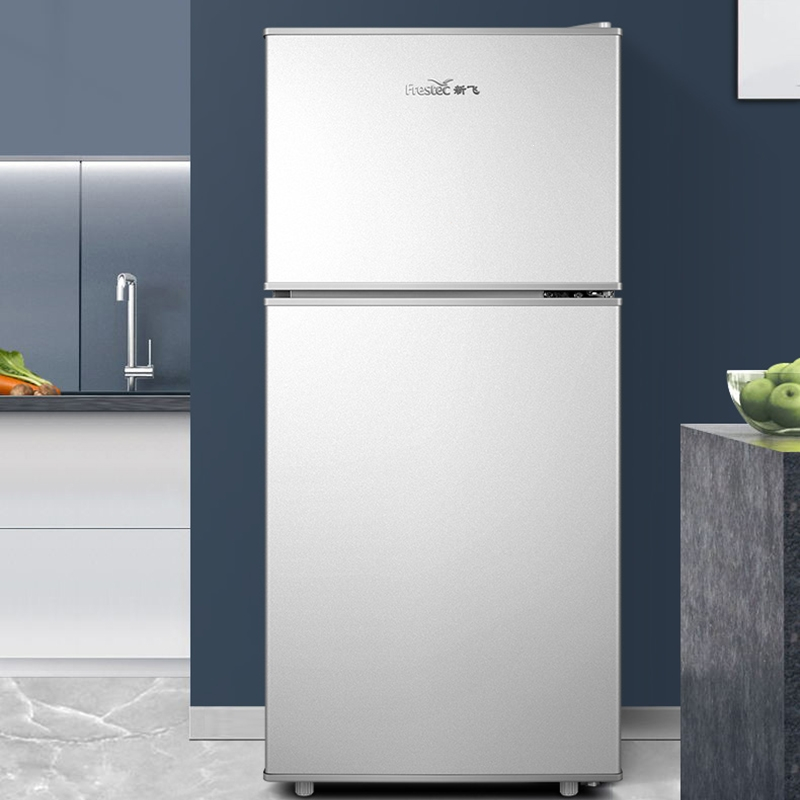 新飞小家用小型双开门宿舍冷冻冷藏租房保鲜(zk冰箱