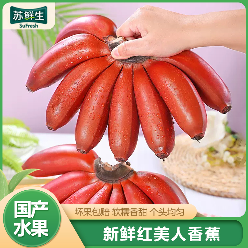 【苏鲜生】精品国产红皮香蕉 5斤装 美人蕉 孕妇水果宝宝辅食 新鲜当季红香蕉1