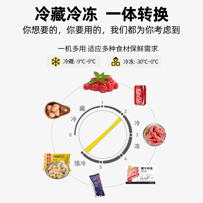 星星(XINGX)246升 冰柜商用冷柜雪糕柜展示柜单温冰柜冷藏冷冻转换柜卧式冷柜雪柜大容量SD/SC-246SY