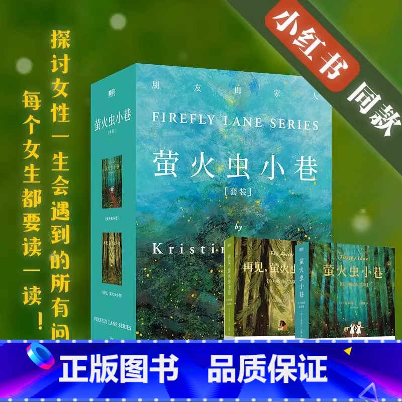 【全4册】克莉丝汀·汉娜作品集合 【正版】2册套装萤火虫小巷+再见萤火虫小巷 克莉丝汀汉娜 探讨女性一生会遇到的所有问题