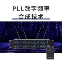 润普(Runpu)会议室礼堂报告厅直播/演讲/智慧教育真分集专业无线一拖八领夹式麦克风RP-WH9008L
