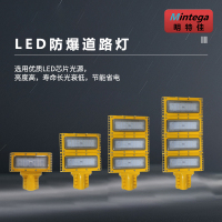 明特佳-Mintega FLD8700-L200 LED防爆道路灯 200W 黄色 (单位:套)