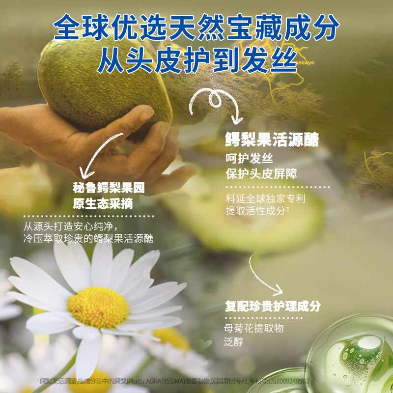 妙思乐 温和洗发露200ml 2瓶套装高清大图
