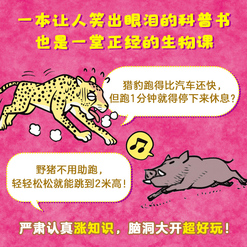 醉染图书动物真疯狂9787558424793高清大图