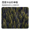 莫森(mosen)MS-G60 单板民谣吉他初学者面单木吉他 D桶型新手入门吉它41寸