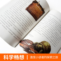 沈石溪动物小说 全3册 你一定没听过的神秘动物故事科幻系列 炫酷的神话动物 6-12岁少年儿童文学故事书 中小学生课