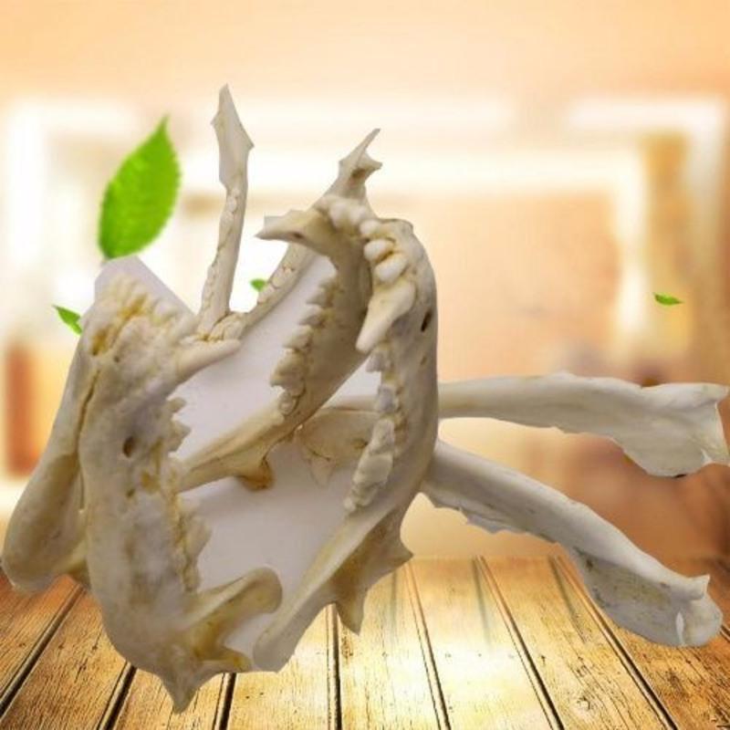 狗牙吊坠狗头骨标本大牙藏獒牙/狼牙项链骨质狗牙齿男1狗下巴下 狗牙吊坠狗头骨标本大牙藏獒牙/狼牙项链骨质狗牙齿男1狗下巴