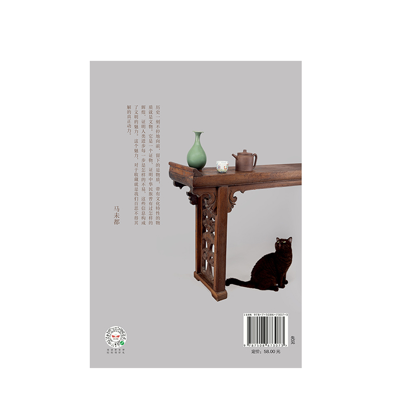 [正版]茶当酒集 马未都 二十年经典随笔 中华古代文明传承 商周唐宋明清时代等的历史文化工艺 瓷器兵马俑唐三彩 出版社高清大图
