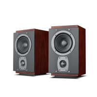 Hivi/惠威 rm600MKII 音箱一只 家庭影院家用音响套装客厅5.1木质音箱