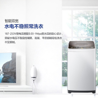 Haier/海尔 XQB80-Z1269波轮洗衣机 全自动家用 8公斤智能预约 自由选择洗衣时间 漂甩二合一 2级能效