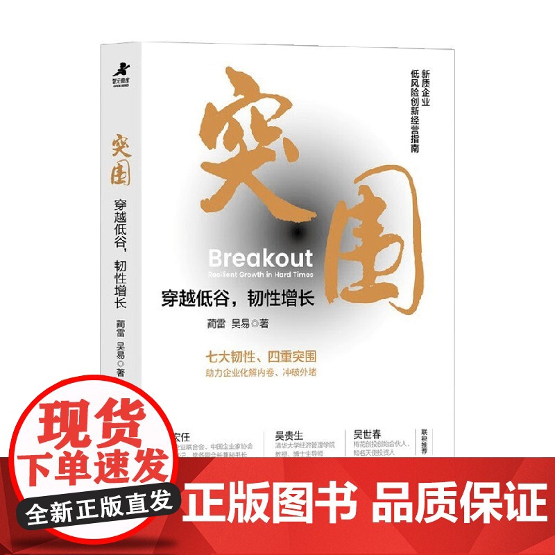 突围 穿越低谷 韧性增长 蔺雷等 著 管理高清大图