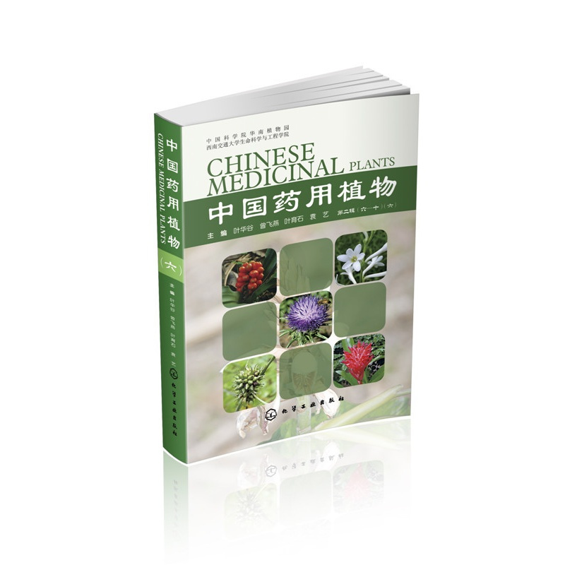[醉染正版]正版图书 书籍中国药用植物.6叶华谷,曾飞燕,叶育石,袁艺医学 药学化学工业出版社9787122251121