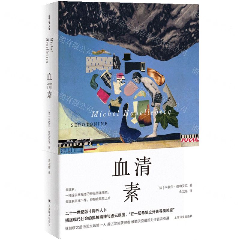 [N]血清素(精)-9787532787746高清大图