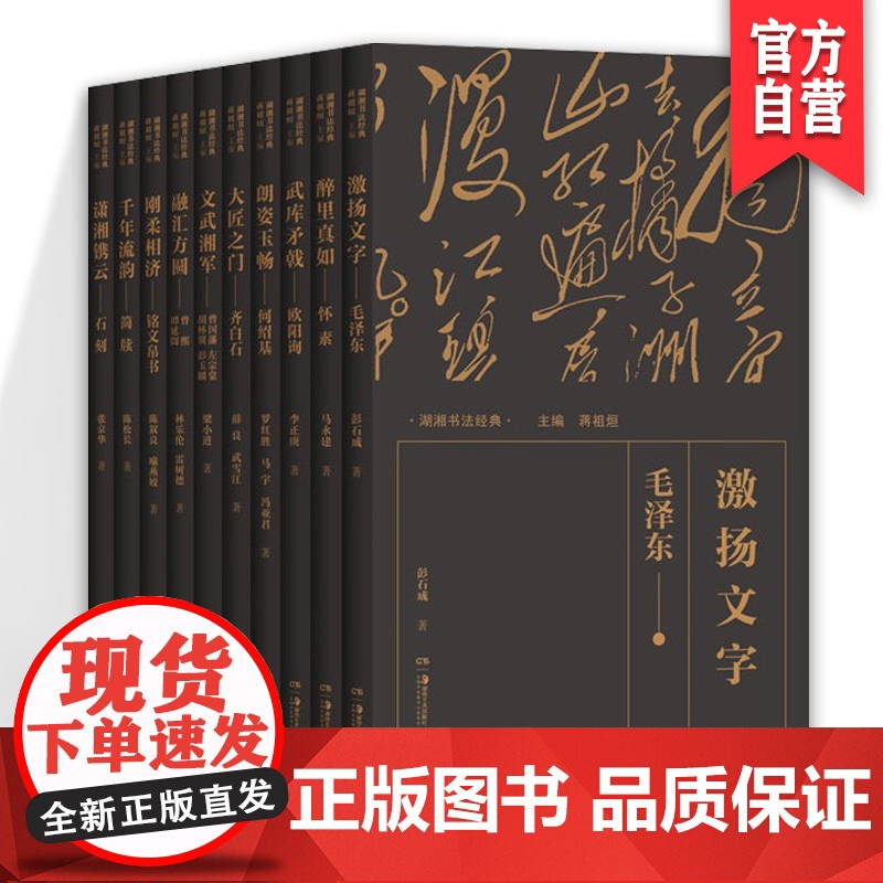 正版 湖湘书法经典 怀素何绍基齐白石铭文帛书简牍石刻 书法篆刻字帖书籍艺术湖南美术出版社店