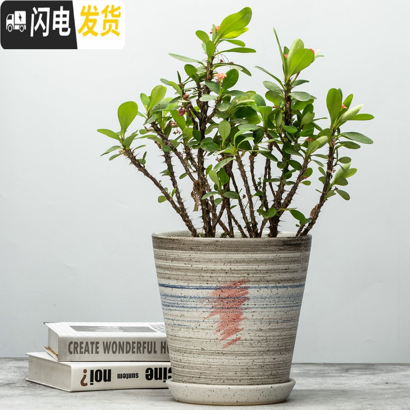 三维工匠花盆菊花盆栽盆多肉花盆陶透气花盆创意花盆陶瓷绿萝盆花盆兰花盆 SY-绿口扫纹 外直径[约22.5cm]花盆容器高清大图