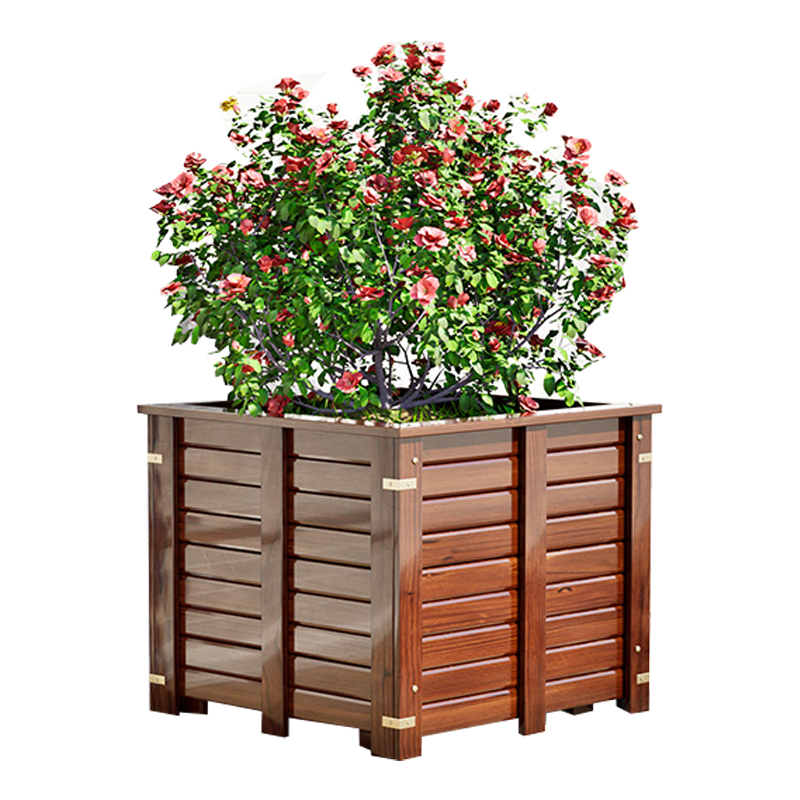 汐花槽60cm个高清大图