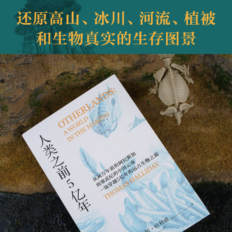 [正版]人类之前5亿年 托马斯·哈利迪 科普读物 史前地球 还原高山 冰川 河流 海洋 植被 以及生物真实的生存图