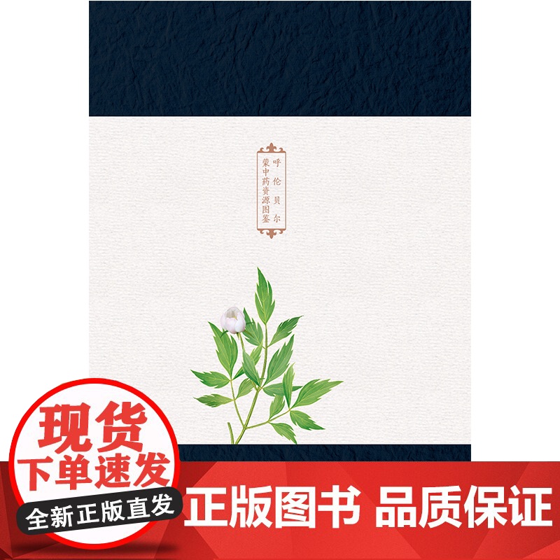 呼伦贝尔蒙中药资源图鉴 详细介绍了呼伦贝尔地区的道地和常用药用植物 北京科学技术出版社 中药资源图鉴高清大图