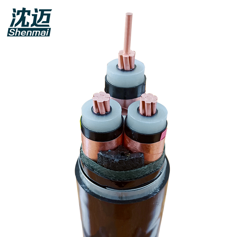 沈迈 铜芯铠装电缆 ZC-YJV22-10-1-3*240mm² /米高清大图