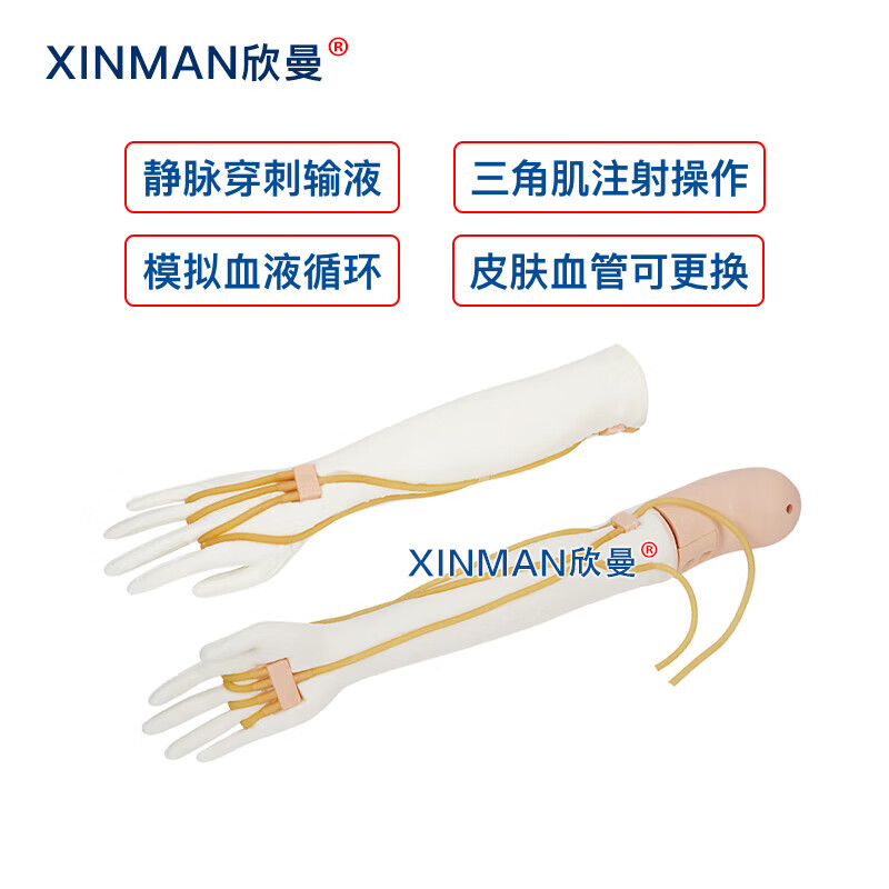 欣曼科教 静脉输液模拟训练模块 高级全功能静脉穿刺输液手臂模型 配备可调速电子血液循环模拟装置XM-S1012高清大图