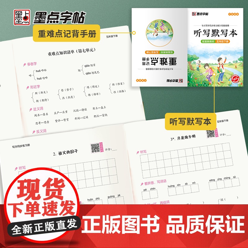 2024春墨点字帖荆霄鹏楷书写字同步练习册人教版小学五年级下语文生字临摹描红每日一练课课练硬笔书法练字本生字组词儿童控笔高清大图