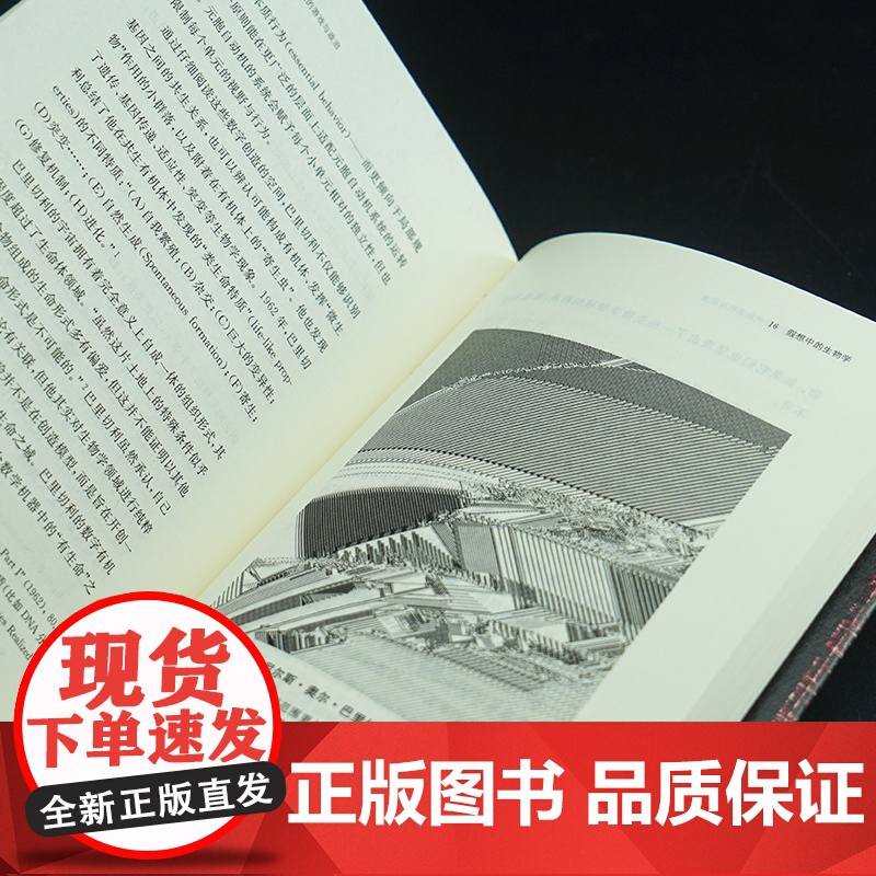 不可计算:漫长数字时代的游戏与政治 守望者·镜与灯 人文高清大图
