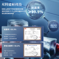 澳柯玛零下40度低温冷柜家用电脑控温减霜少霜冰柜冷冻冷藏卧式顶开小冰箱