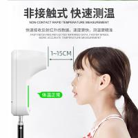 雨沃 非接触式测温仪K3PLUS标准版
