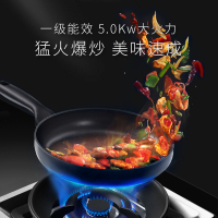 志高(CHIGO)JJZY-T15BZ家用烟机灶具蒸烤箱一体式挥手操控独立双内胆独立蒸烤空气炸文火炖集成灶液化气
