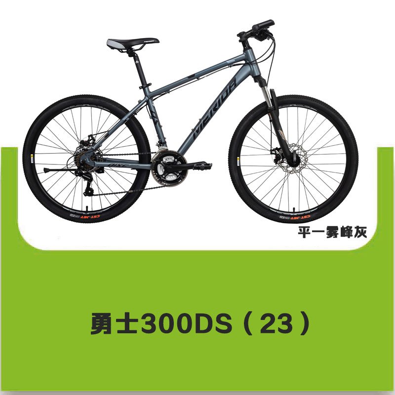 [预售车型]MERIDA美利达 勇士300DS 山地自行车 21S 变速