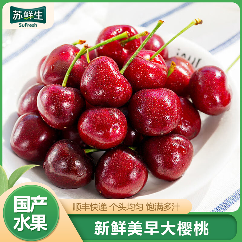 JD快递[苏鲜生]大连美早大樱桃 净重4.8斤 JJJ级 新鲜水果当季整箱孕妇进口樱桃黑珍珠