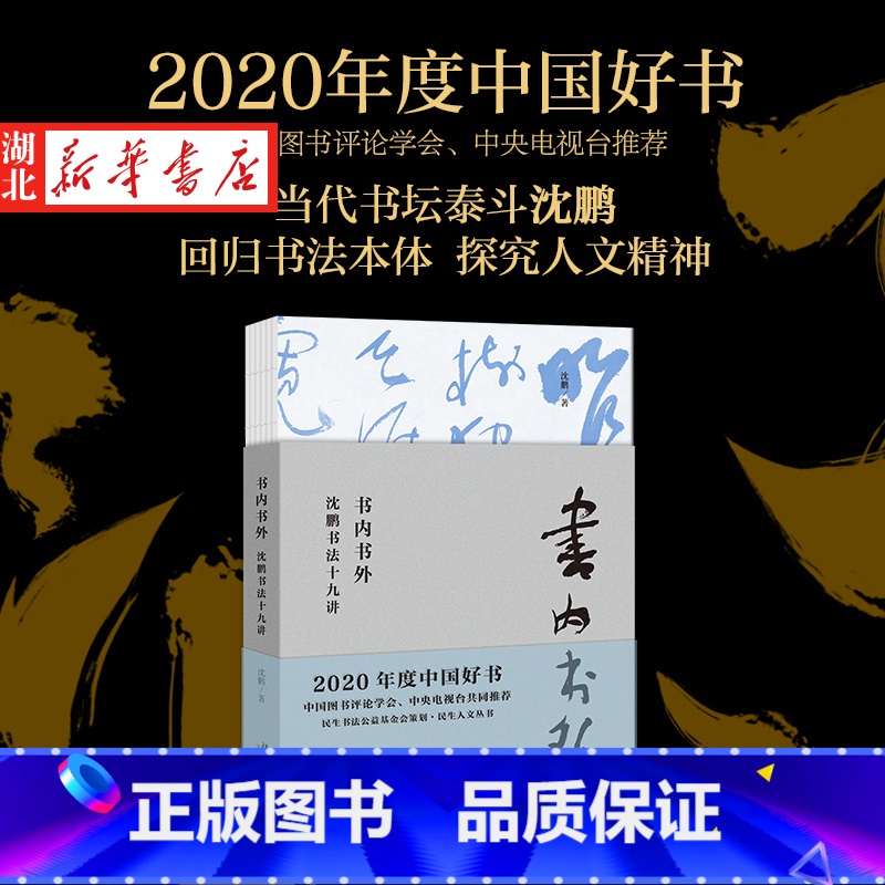【正版】2020中国好书 书内书外沈鹏书法十九讲 沈鹏著 北京大学出版社 书店图书籍