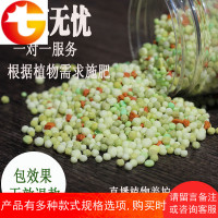 磷酸二氢钾花肥料室内家用速效有机复合肥亚铁盆栽氮磷钾 邮